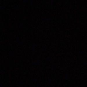 Meet your Posher, Dakota